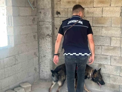 Kilis’te okul önlerinde trafik ve asayiş tedbirleri uygulandı
