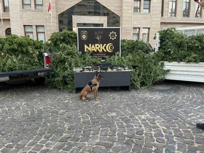 Kilis’te uyuşturucu operasyonu: 1 tutuklama
