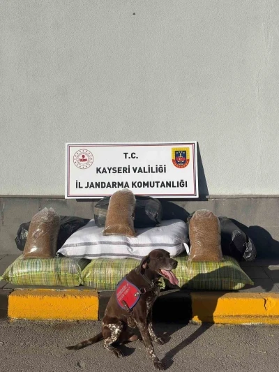 Kimlik kontrolü için durdurulan otobüsten 230 kilogram kaçak tütün çıktı
