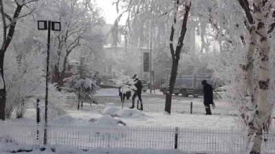 Kırağı sonrası g&ouml;rsel ş&ouml;len oluştu
