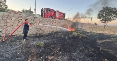 Kırıkhan&rsquo;da zeytinlik alan yangını
