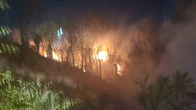 Kırıkkale’de ağaçlık alanda yangın
