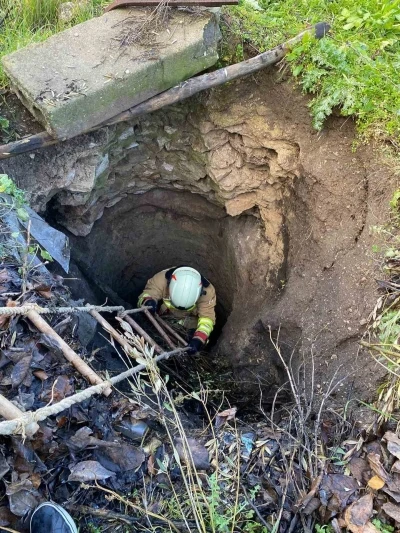 Kırkağa&ccedil;&rsquo;ta kuyuya d&uuml;şen k&ouml;pek itfaiye ekiplerince kurtarıldı
