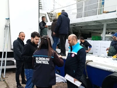 Kırklareli&rsquo;de hamsi sevkiyatlarına denetim
