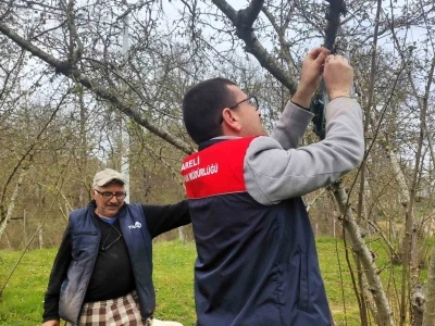 Kırklareli&rsquo;de kahverengi kokarca b&ouml;ceği izleme &ccedil;alışmaları
