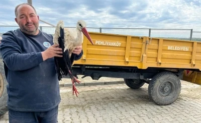 Kırklareli&rsquo;de yaralı leyleğe şefkat eli
