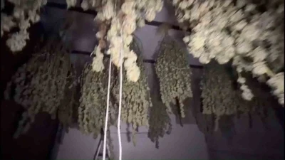 Kırklareli&rsquo;nde 54 kilogram esrar ele ge&ccedil;irildi: 1 tutuklama
