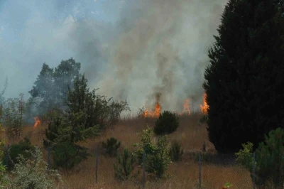 Kırklareli’nde anızlık alanda çıkan yangın ağaçlık alana sıçradı: Avrupa otoyolu ulaşıma kapandı
