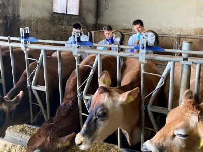 Kırklareli&rsquo;nde b&uuml;y&uuml;kbaş hayvan işletmelerinde hastalıktan ari kontrolleri
