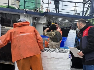 Kırklareli&rsquo;nde hamsi avcılığına sıkı denetim: 15 milyon 270 bin 699 kilogram hamsi karaya &ccedil;ıkarıldı
