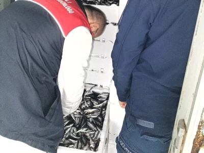 Kırklareli&rsquo;nde su &uuml;r&uuml;nleri denetiminde 110 koli istavrite cezai işlem
