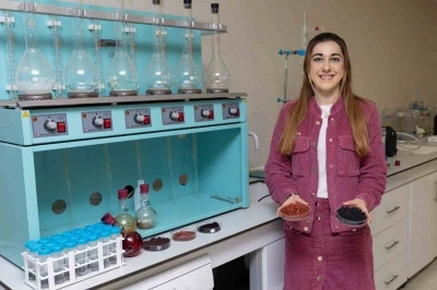 Kırmızı-mor meyvelerden fonksiyonel gıda &uuml;r&uuml;n&uuml;
