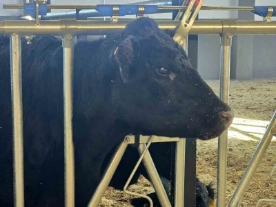 Kırsalda Bereket Hayvancılığa Destek Projesi, 2028 yılına kadar s&uuml;recek
