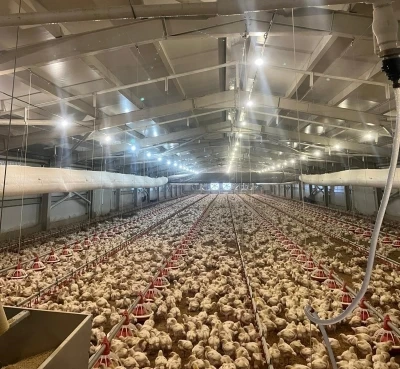 Kırsalda &uuml;retime 33,6 milyon liralık can suyu
