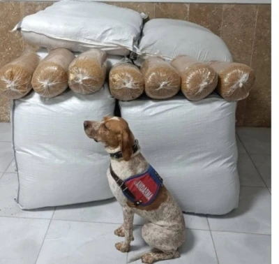 Kırşehir’de yolcu otobüsünde 400 kilogram kaçak tütün ele geçirildi
