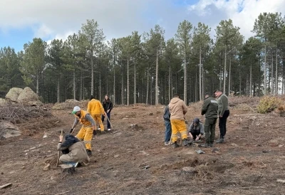 Kırşehir’den gelen üniversite öğrencileri Çine’de fidan dikti
