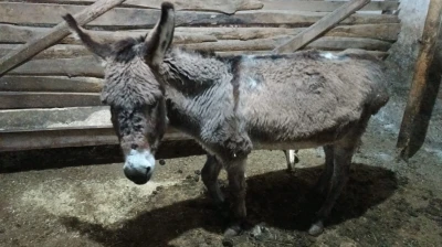 Kırşehirli k&ouml;yl&uuml;den vicdanlara dokunan hareket
