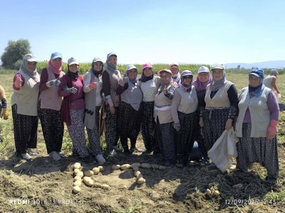 Kışlık patates hasadı başladı, rekolte üreticilerin yüzünü güldürdü
