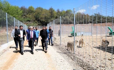 Kocaeli&rsquo;de 650 k&ouml;pek kapasiteli yeni barınak hizmete alındı
