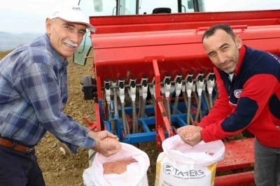 Kocaeli’de çiftçilere yüzde 75 hibeli tohum desteği
