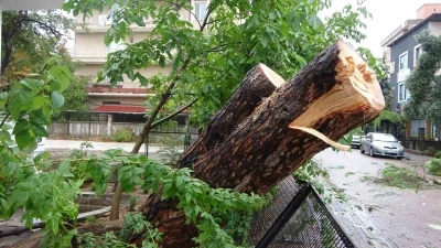 Kocaeli’de sağanak: Yıldırım evin çatısına düştü
