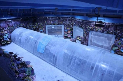 Kocaeli&rsquo;de su altında d&uuml;nya turu başlıyor: 30 farklı akvaryumla eşsiz gezi
