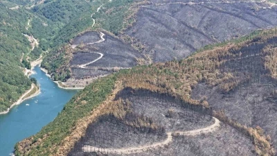 Kocaeli’de yangın sonrası yürek burkan manzara
