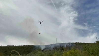 Kocaeli’deki orman yangını 1 saatte kontrol altına alındı
