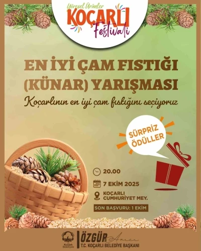 Koçarlı’da çam fıstığının en iyisi seçilecek
