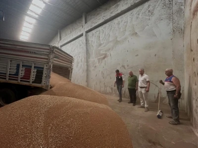 Ko&ccedil;arlı&rsquo;da ilk hububat alımı ger&ccedil;ekleştirildi
