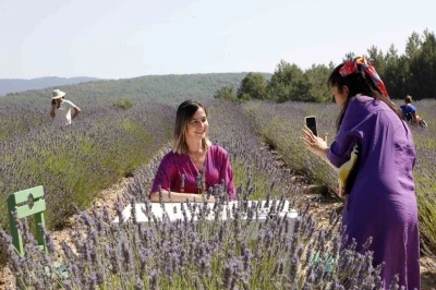 Koku Vadisi&rsquo;nde Lavanta hasadı başlıyor
