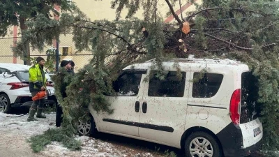 K&ouml;k&uuml;nden s&ouml;k&uuml;len ağa&ccedil; park halindeki aracın &uuml;zerine devrildi
