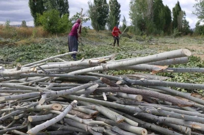 K&ouml;m&uuml;r pahalı, odun umut: Erzincan kırsalında kış mesaisi
