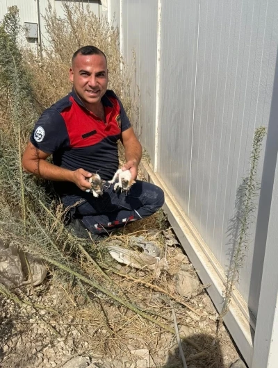 Konteynerin altında mahsur kalan kedileri itfaiye kurtardı
