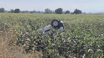Kontrolden çıkan araç takla atıp tarlaya uçtu: 1 yaralı
