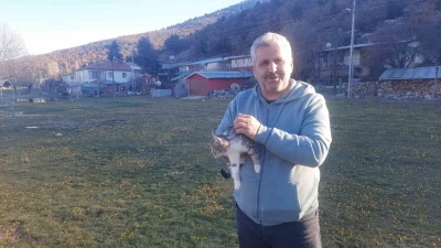 Konya&rsquo;da a&ccedil; kalan kediler i&ccedil;in 30 kilometre yol gitti

