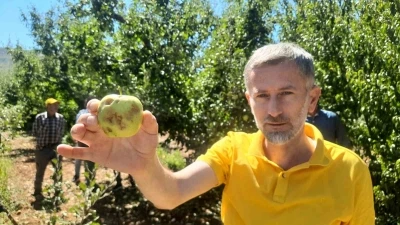 Konya’da dolu etkili oldu, bahçeler büyük zarar gördü
