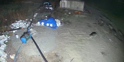 Konya&rsquo;da domuz s&uuml;r&uuml;s&uuml; yerleşim alanına indi
