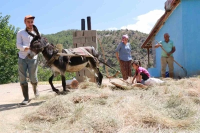 Konya’da geleneksel düvenle saman üretimi sürdürülüyor
