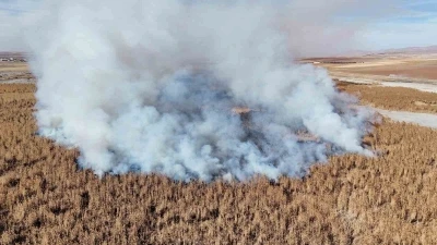 Konya’da sazlık alanda yangını
