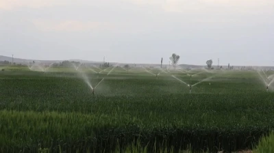 Konya&rsquo;da yer altı suyu kullanımında d&uuml;ş&uuml;ş, barajlardaki doluluk sevindiriyor
