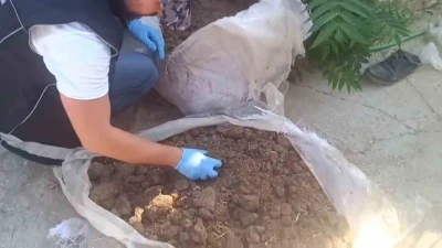 Konya’da zehir tacirlerine operasyon: 712 bin hap ve 65 kök kenevir ele geçirildi
