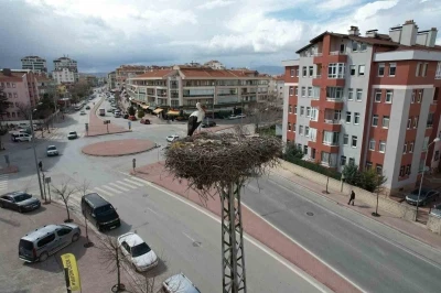 Konya&rsquo;nın leylekleri direkteki yuvalarına geldi
