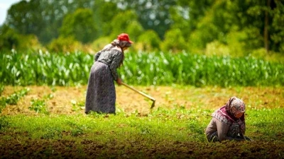 Kooperatif ve birliklere y&uuml;zde 75 hibeli tarımsal destek
