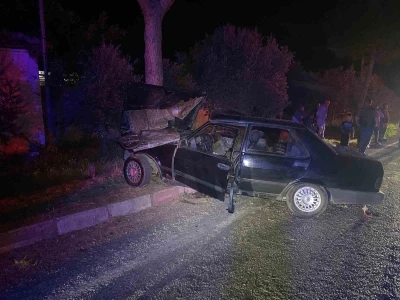 K&ouml;peğe &ccedil;arpmamak i&ccedil;in ağaca &ccedil;arpan s&uuml;r&uuml;c&uuml; hayatını kaybettti
