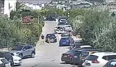 Köpeği için hukuk mücadelesi başlattı
