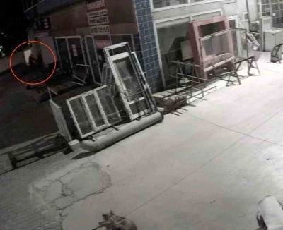 Köpeği önce aracıyla ezmeye çalıştı ardından tüfekle vurarak felç bıraktı
