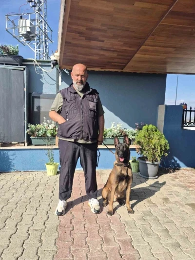 Köpek eğitmeni Eren Ay: &quot;Köpekler kötü değildir, kötü eğitim vardır&quot;
