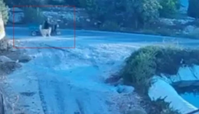 Köpek saldırınca motor devrildi
