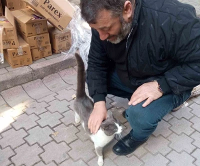 K&ouml;peklerden ka&ccedil;an kedinin imdadına itfaiye yetişti
